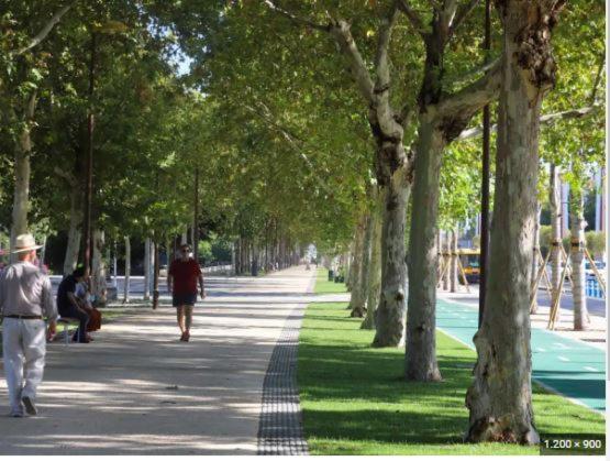 Alleanza, Aires De Guadalquivir Sevilla Dış mekan fotoğraf